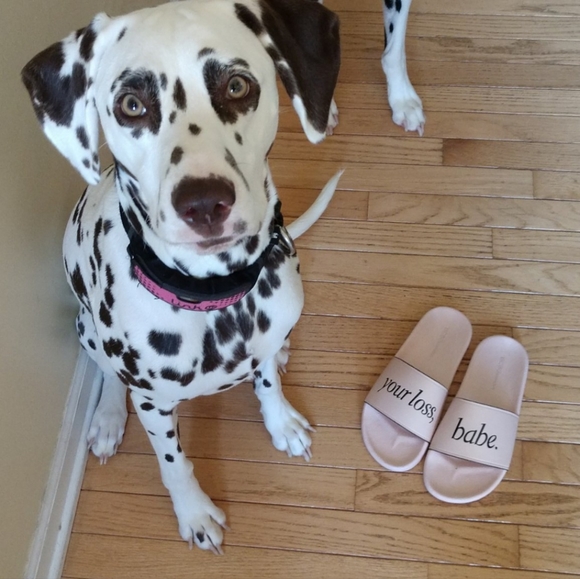 Meet your Posher, Julia - Picture 2 of 16